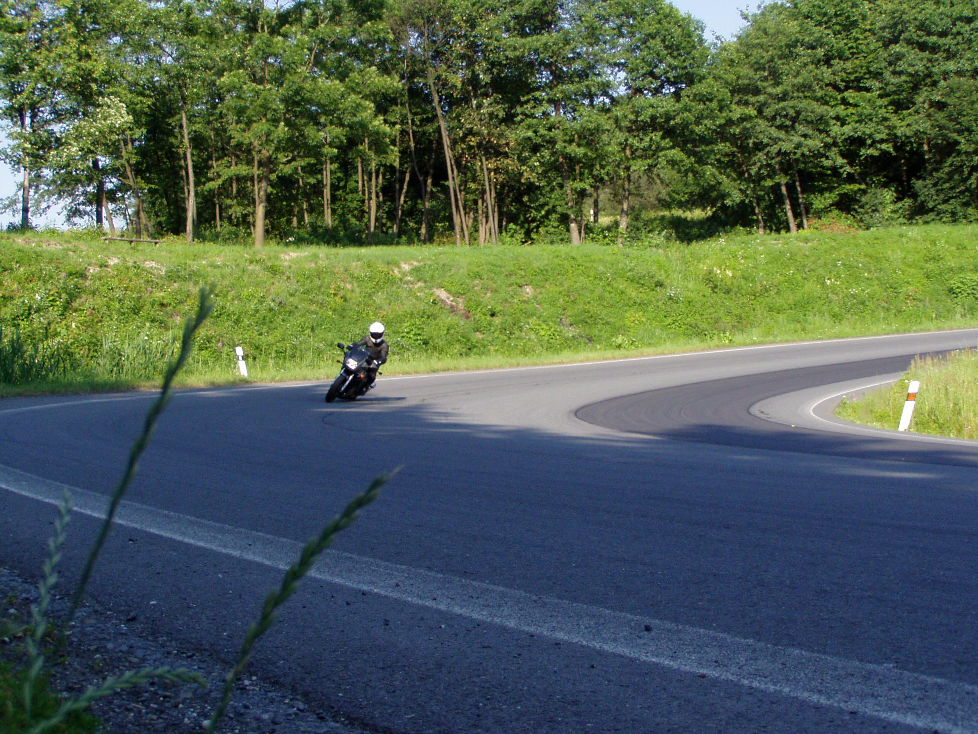 P1010145.JPG