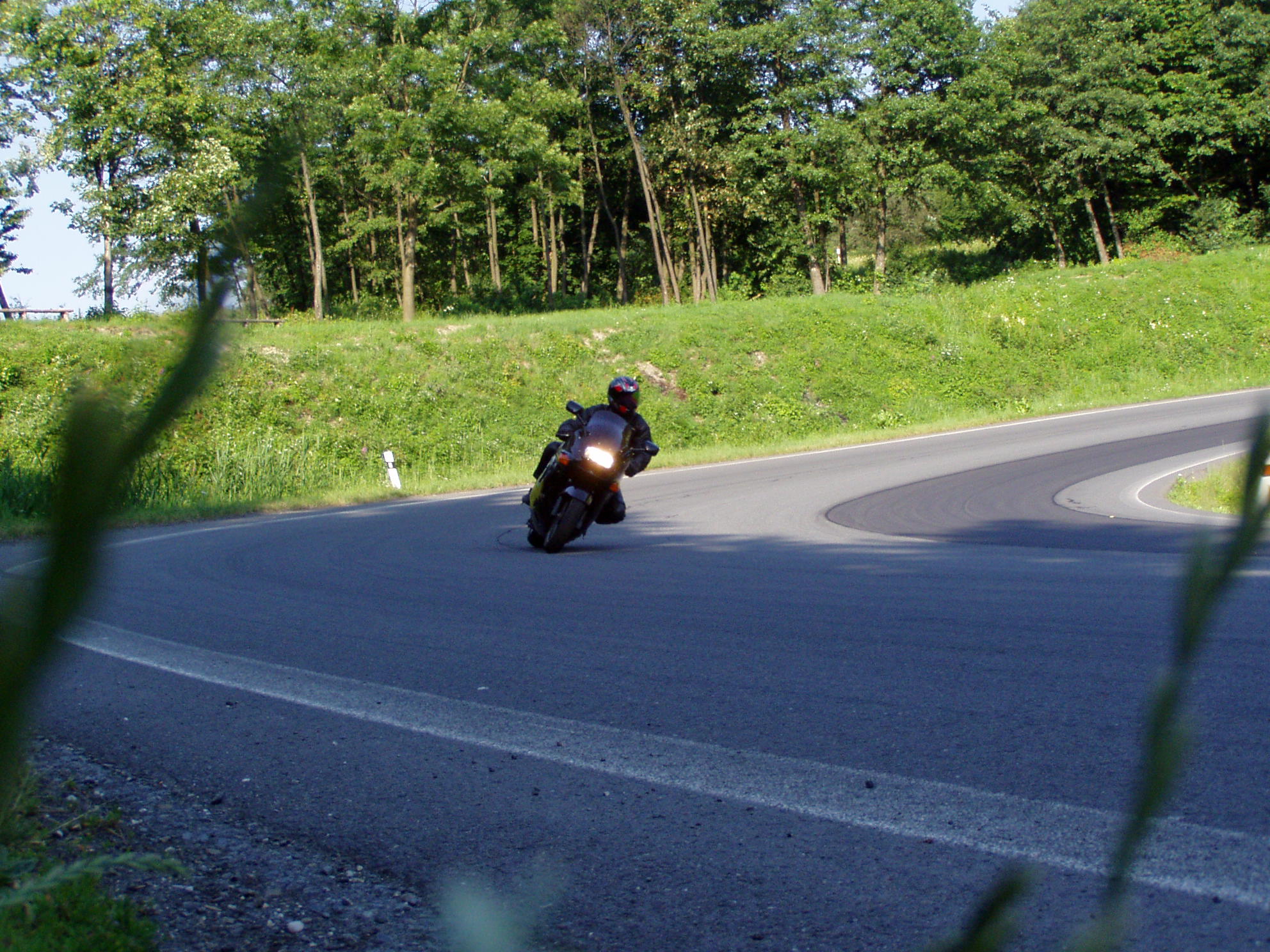 P1010146.JPG