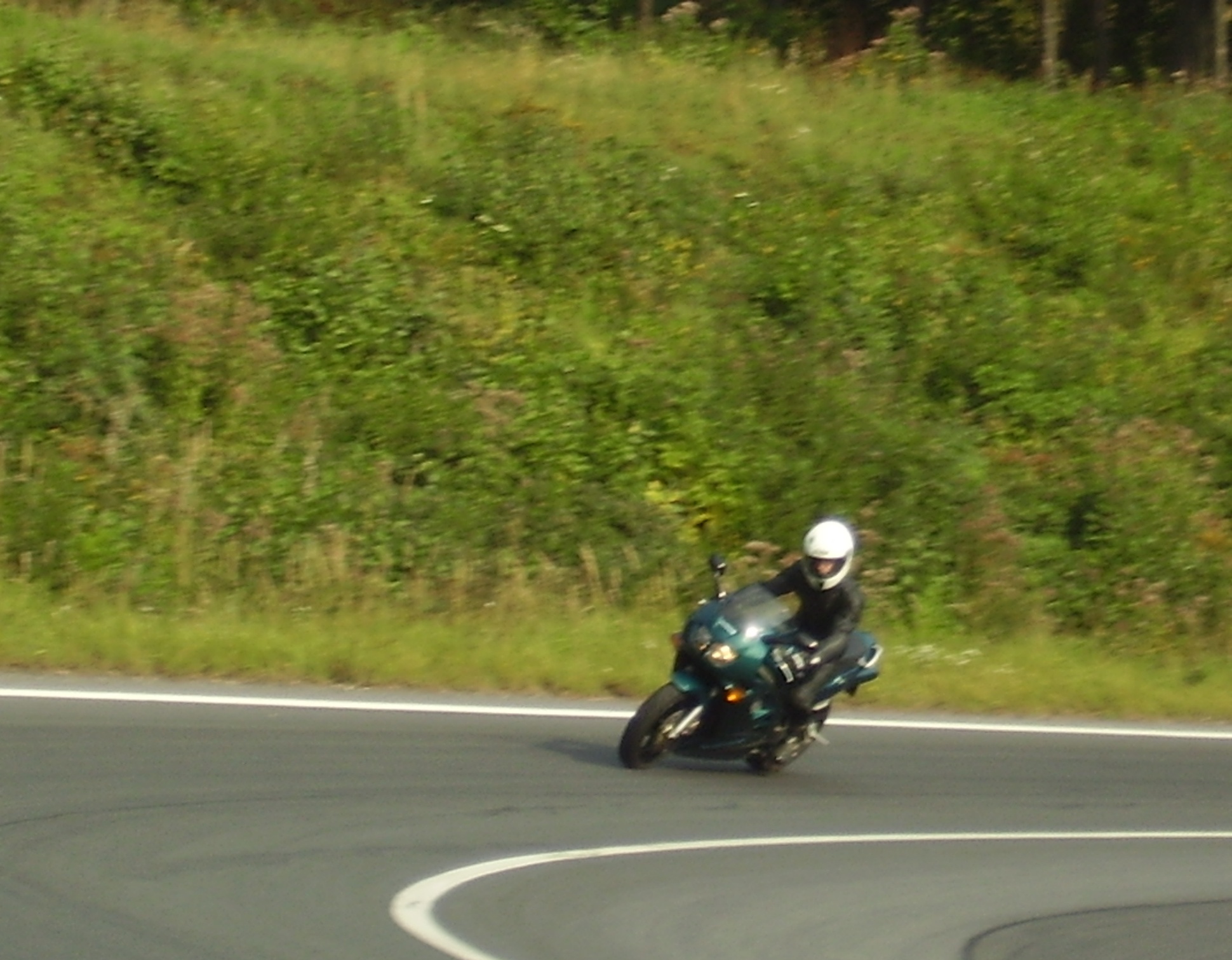 P9300103.JPG