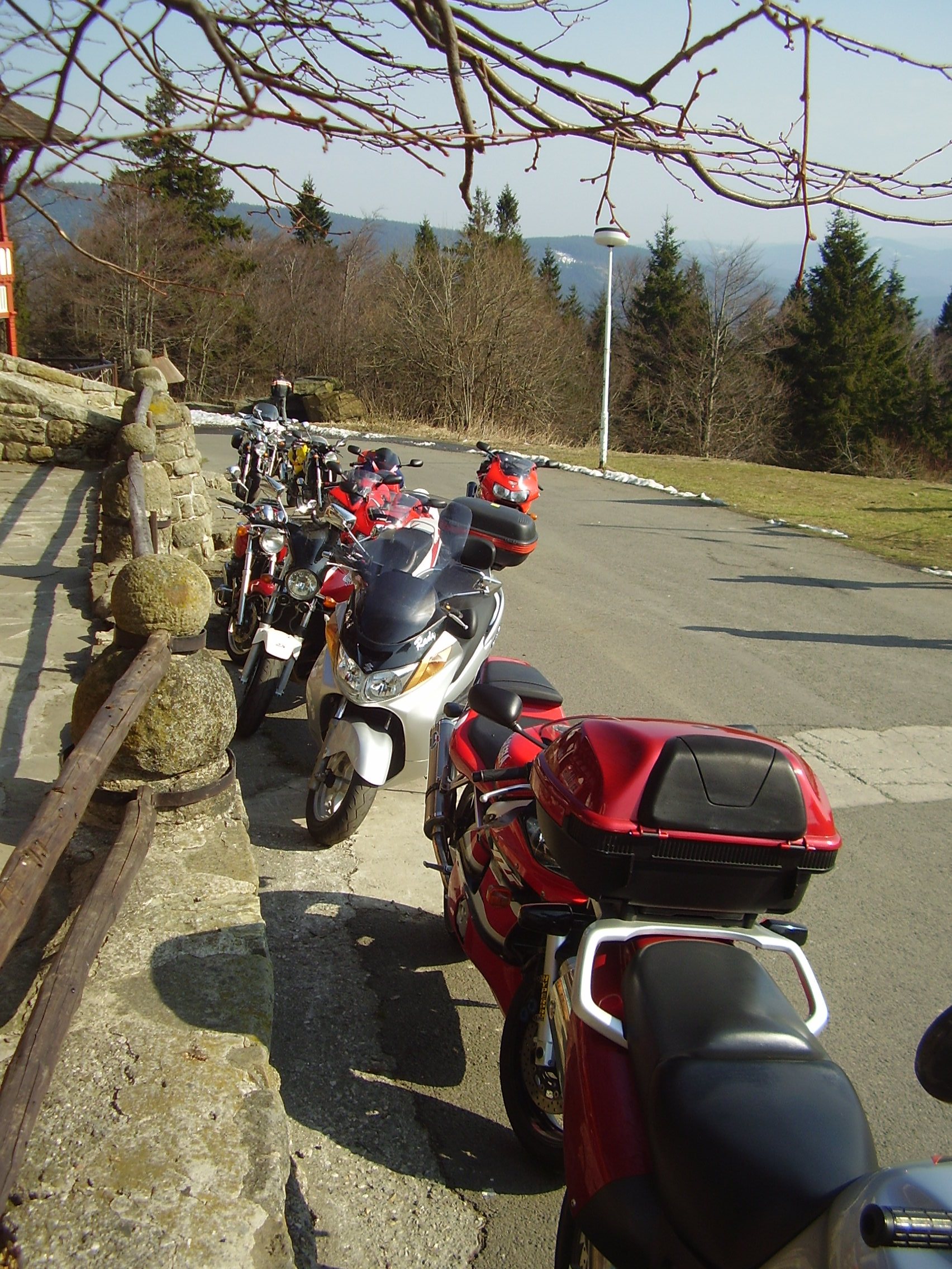 P3310009.JPG