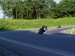 P1010147.JPG